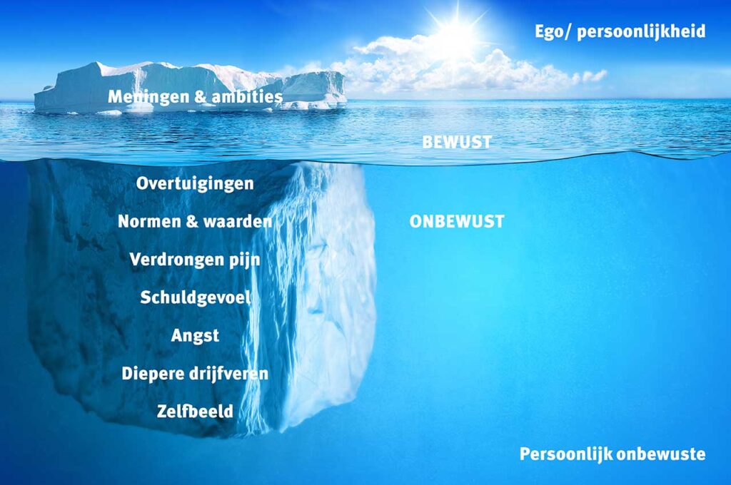 Gangbare opvatting bewustzijn | Duurzaam Managen